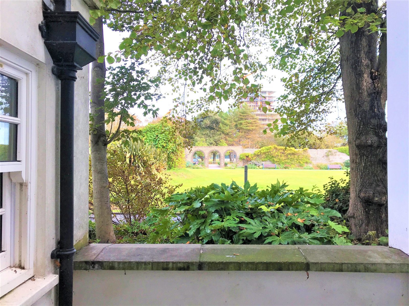 The Cottage photo